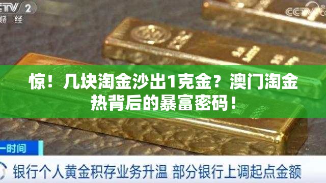 惊！几块淘金沙出1克金？澳门淘金热背后的暴富密码！