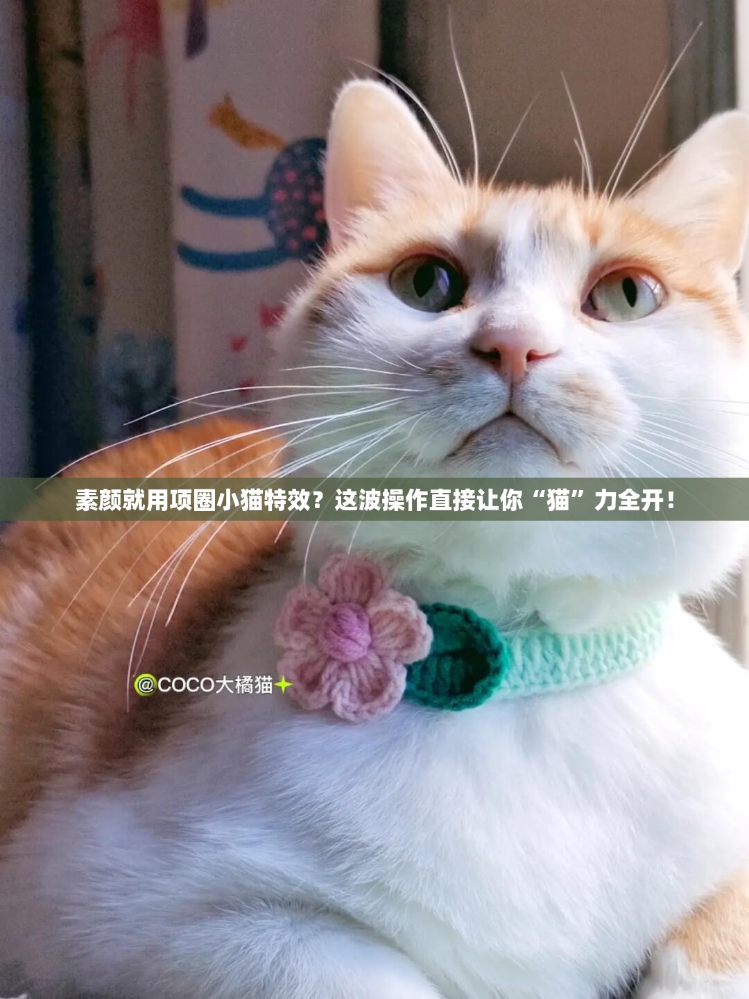 素颜就用项圈小猫特效？这波操作直接让你“猫”力全开！