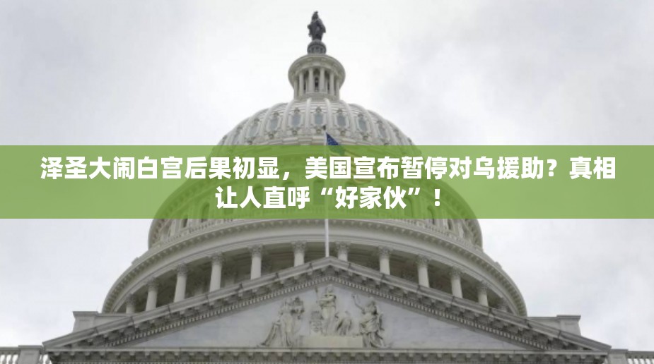 泽圣大闹白宫后果初显，美国宣布暂停对乌援助？真相让人直呼“好家伙”！