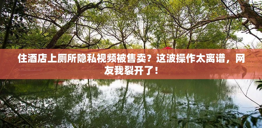 住酒店上厕所隐私视频被售卖？这波操作太离谱，网友我裂开了！