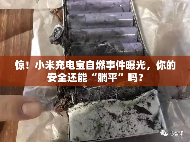 小米充电宝发生自燃