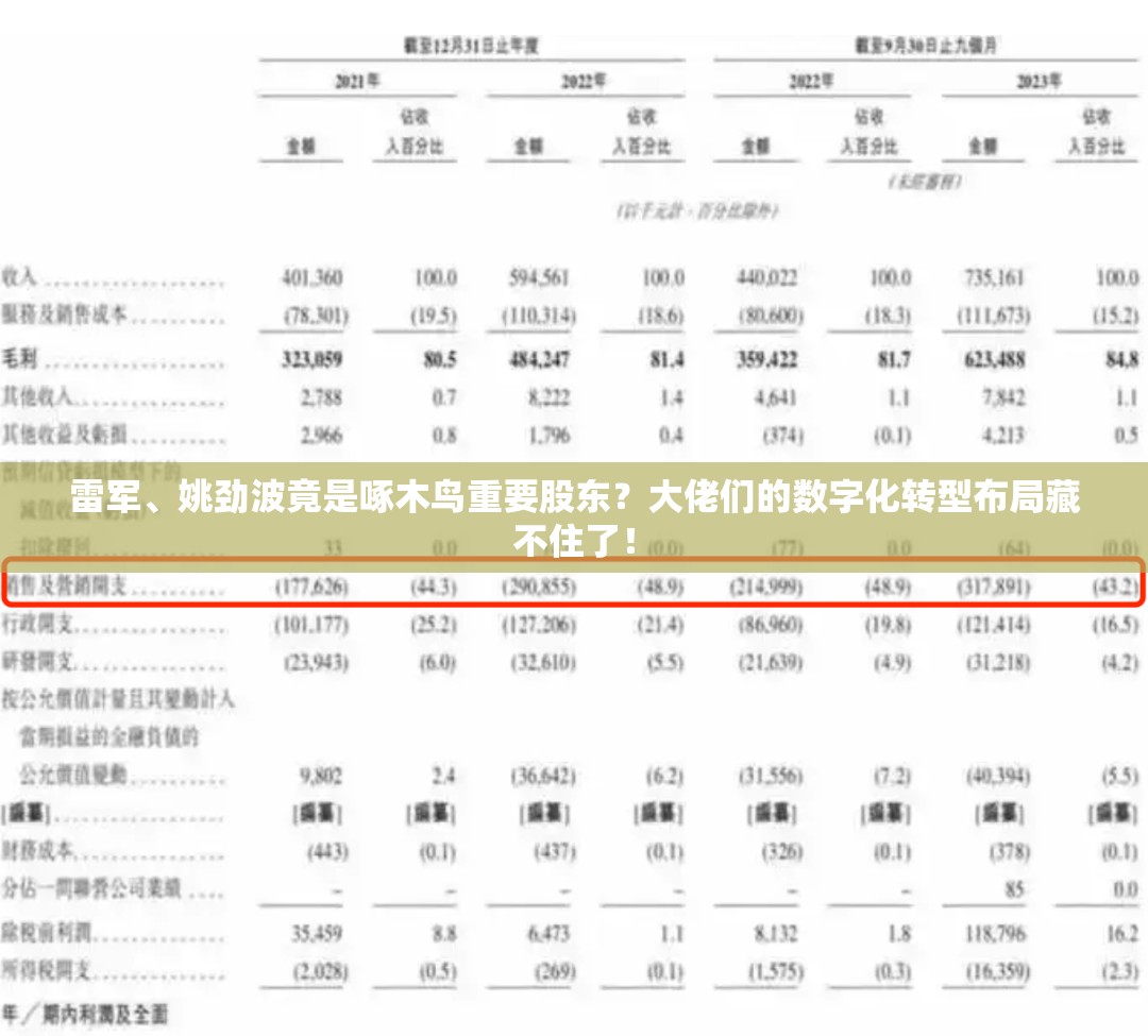 姚劲波是啄木鸟重要股东