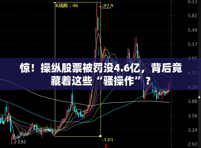 操纵股票被罚没4.6亿