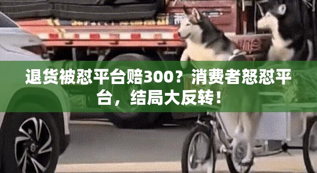 退货被怼平台赔300？消费者怒怼平台，结局大反转！