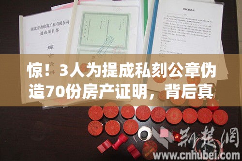 3人为提成私刻公章伪造70份房产证明