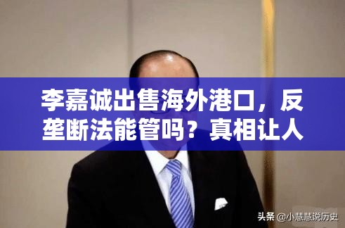 李嘉诚出售海外港口，反垄断法能管吗？真相让人直呼“好家伙”！