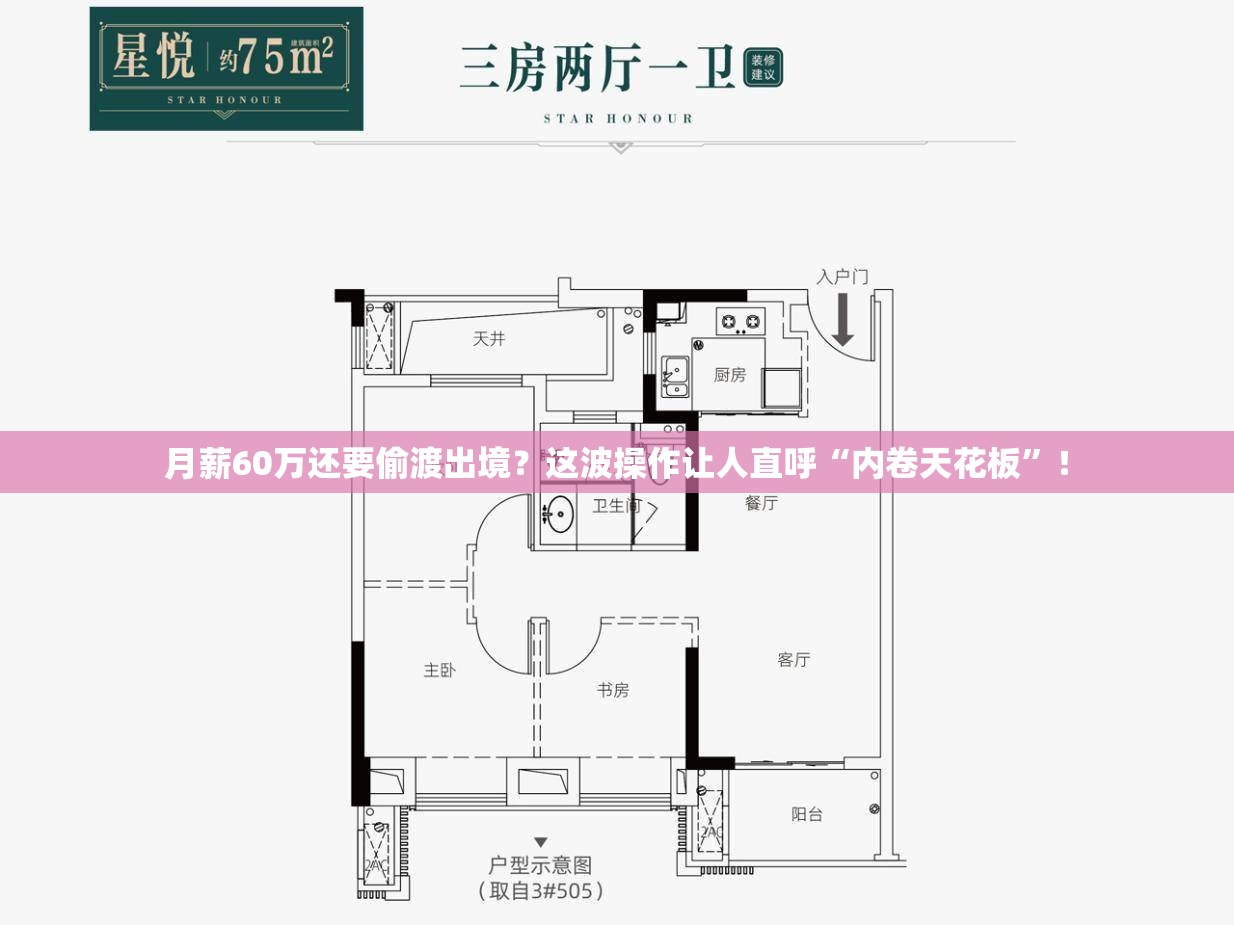 月薪60万还要偷渡出境？这波操作让人直呼“内卷天花板”！